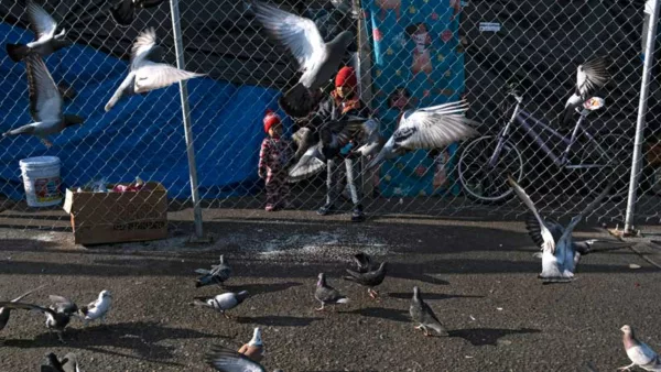 Mexican Commission Records 5,262 Salvadoran Asylum Applications in 2024 — Comisión mexicana registra 5,262 peticiones de asilo de salvadoreños en 2024