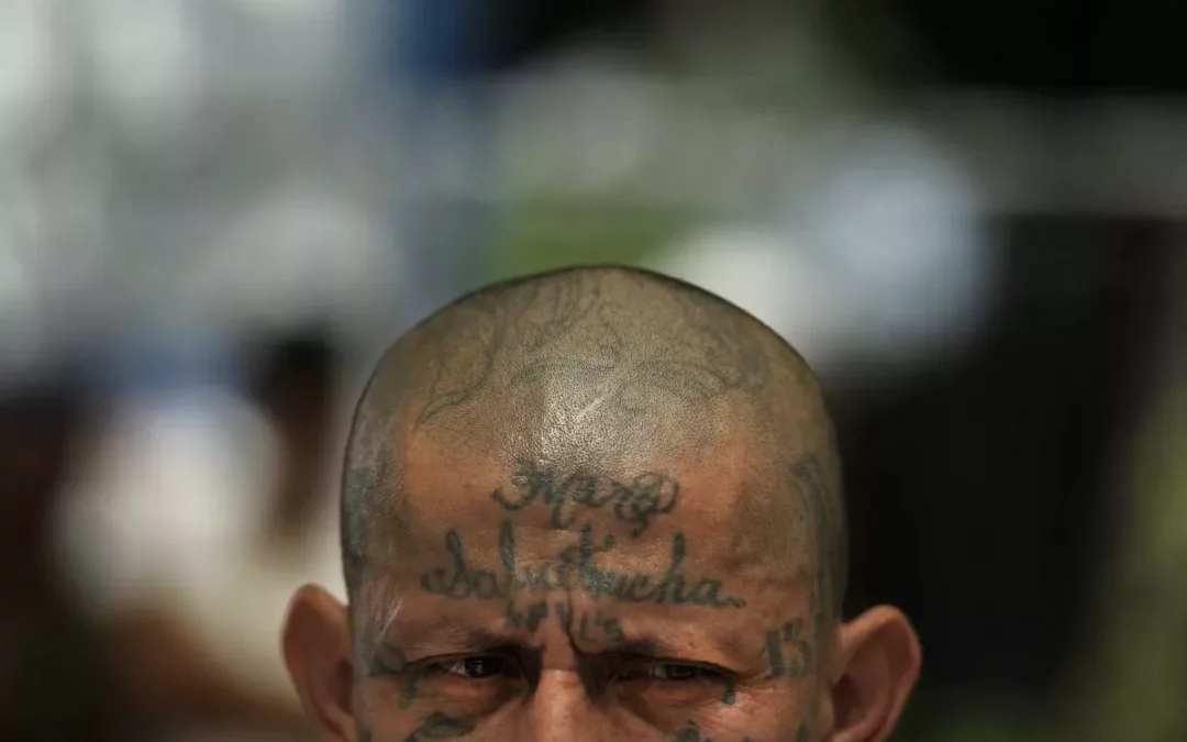 During March Massacre, El Salvador Government Took Four MS-13 Leaders Out of Prison / El día en que inició la masacre de marzo, cuatro líderes de la MS-13 salieron de Zacatecoluca￼