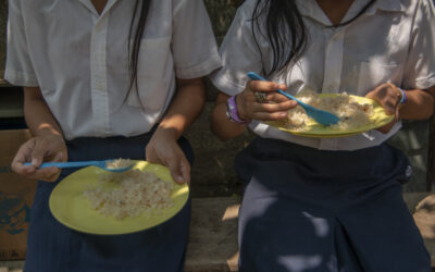Education stopped paying $11 million for student meals / Educación dejó de pagar $11 millones en alimentos para estudiantes