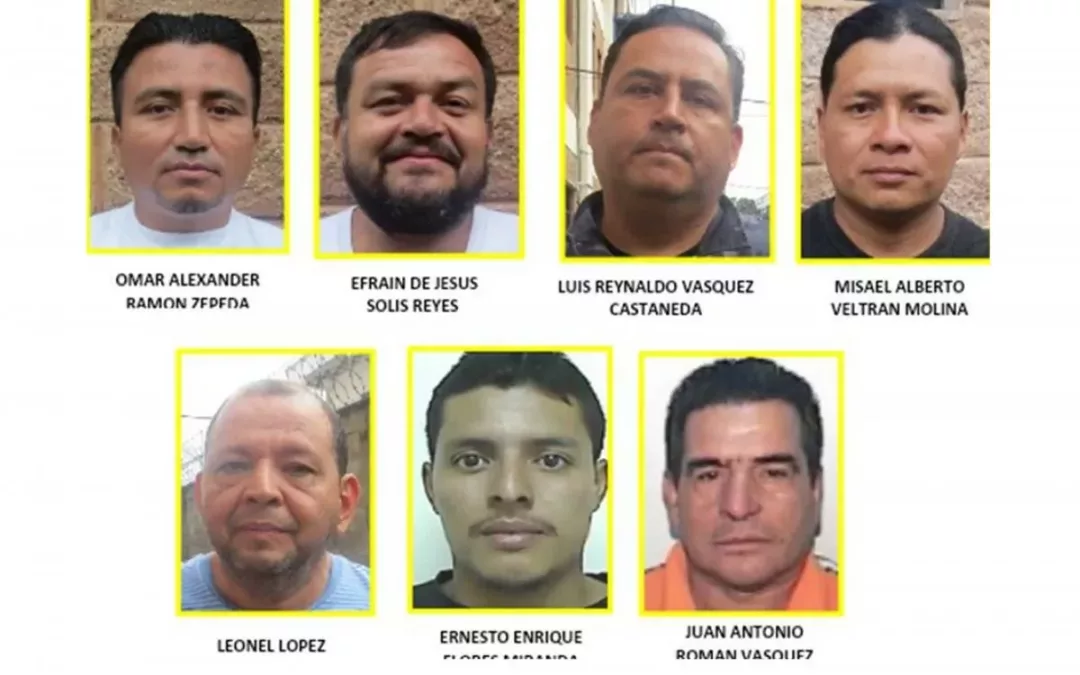 Government purchased $4.6 million worth of food during pandemic from ‘smuggler’ profiled by police — Gobierno compró $4.6 millones de alimentos en pandemia a ‘contrabandista’ perfilado por la PNC