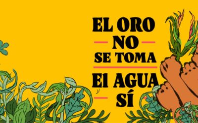 NGO denounces “arbitrary” detention of the son of a community leader in El Salvador / ONG denuncia la detención “arbitraria” del hijo de una líderesa comunitaria en El Salvador