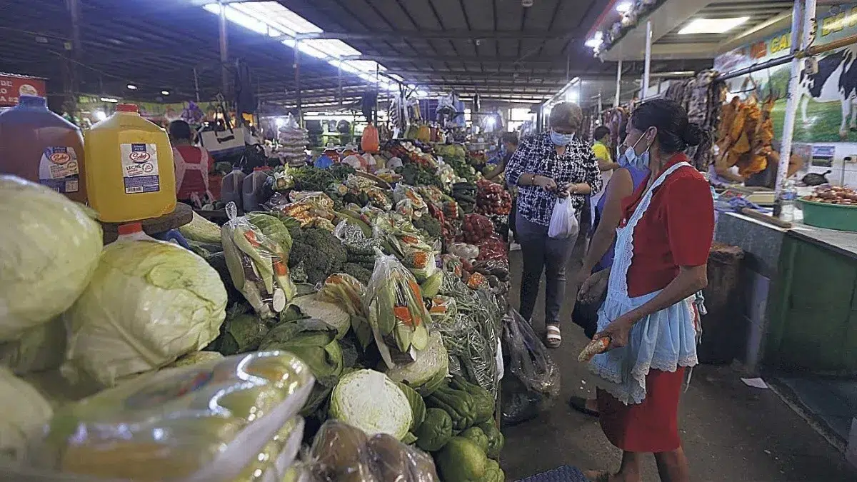 UN agencies warn about the risk of increased hunger in El Salvador — Agencias de la ONU advierten sobre riesgo de que hambre aumente en El Salvador