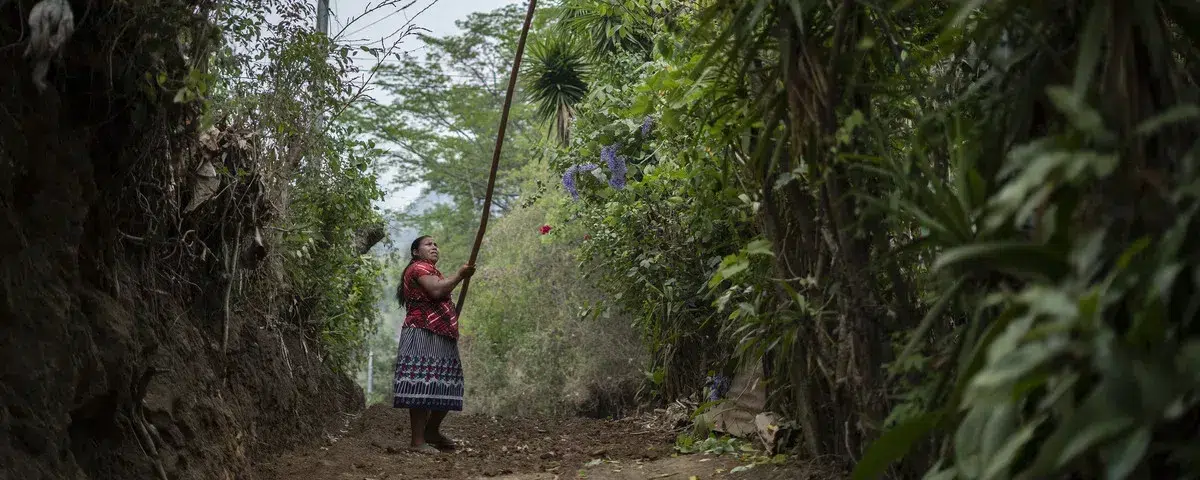 Nearly one million Salvadorans on the brink of famine — Casi un millón de salvadoreños al borde de la hambruna