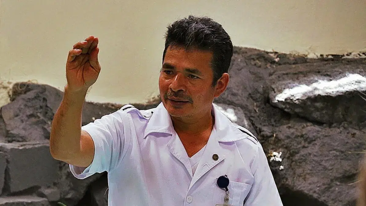 Ministry of Health Dismisses Nurse from Rosales Hospital Who Demanded Payment for Night Shifts — Ministerio de Salud despidió a enfermero del Hospital Rosales que exigió pago de nocturnidades