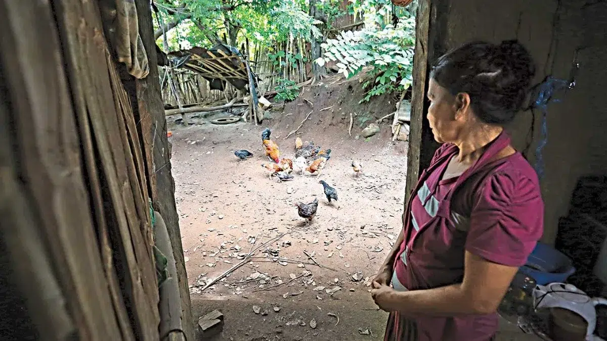 Dying from malnutrition in a hungry El Salvador — Morir por desnutrición en un El Salvador con hambre