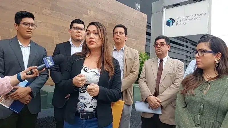 Organizations ask IAIP to comply with the law on transparency of projects— Organizaciones piden al IAIP que cumpla la ley en la transparencia de proyectos