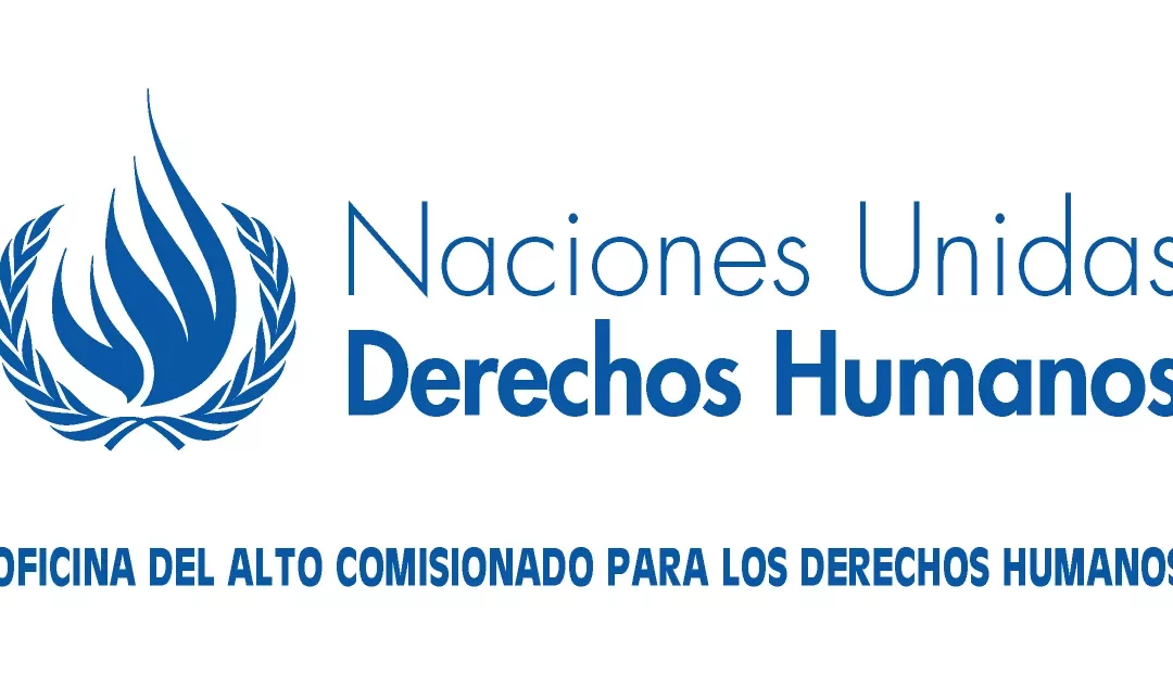 El Salvador: UN experts demand protection for Ruth López after enforced disappearance — El Salvador: Expertas de la ONU exigen protección para Ruth López tras desaparición forzada