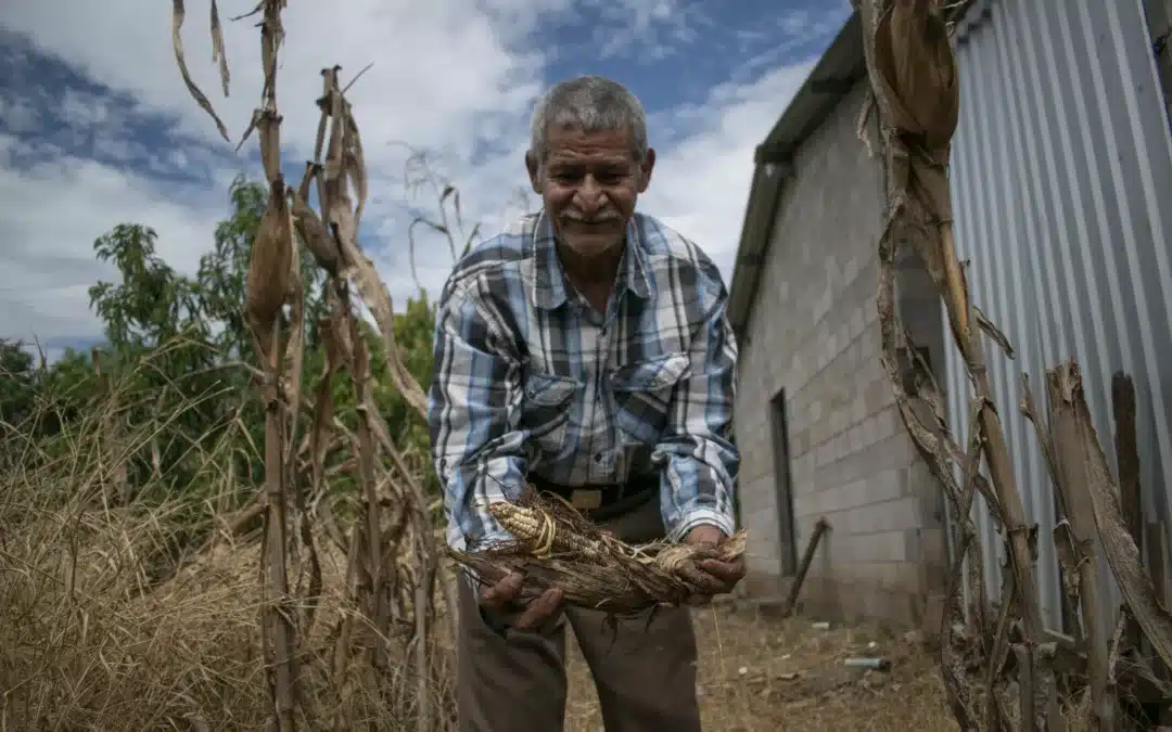 The Project that Lands Deceptively in La Unión — El proyecto que aterriza con engaños en La Unión