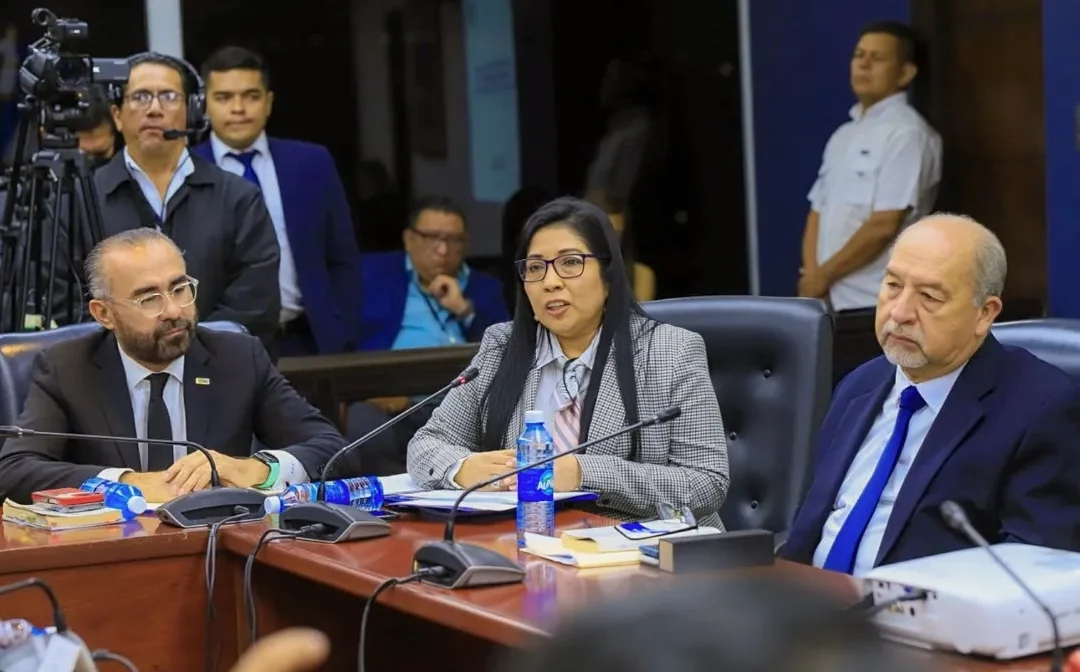 TSE Removed Biometric Recognition from In-Person Electronic Voting, Says Magistrate — TSE quitó reconocimiento biométrico del voto electrónico presencial, dice magistrado