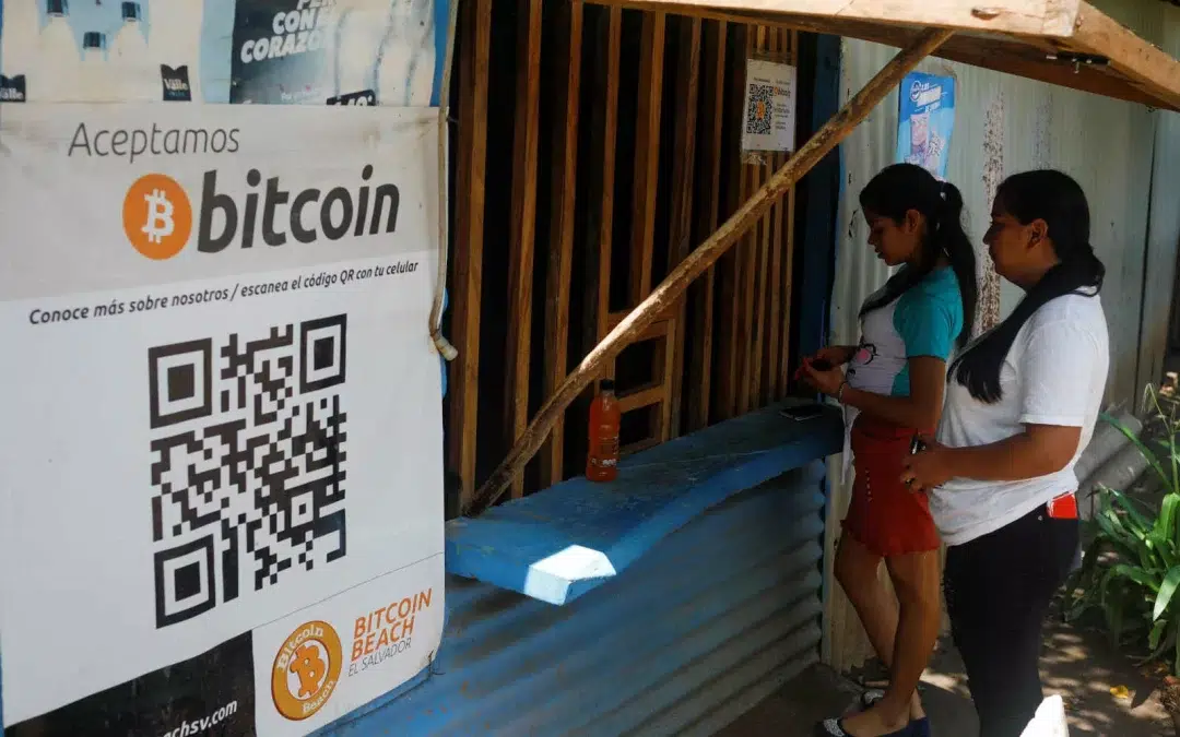 El Salvador’s Alleged Bitcoin Investments Back in the Red — Las presuntas inversiones en Bitcoin de El Salvador vuelven a estar en rojo