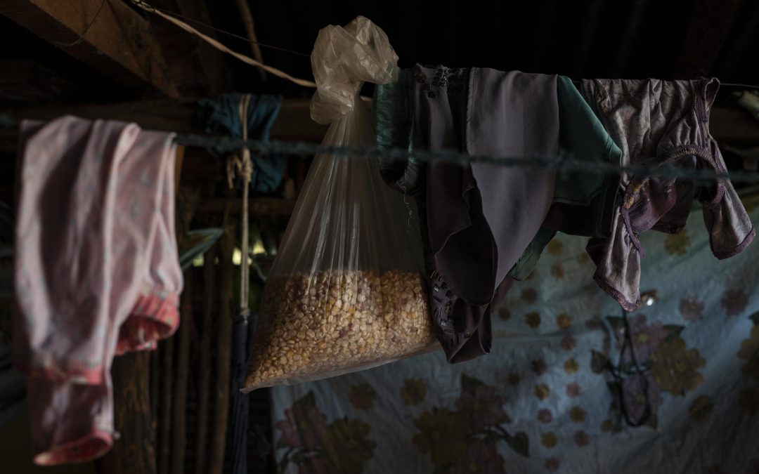 Nearly One Million Salvadorans on the Verge of Starvation — Casi un millón de salvadoreños al borde de la hambruna