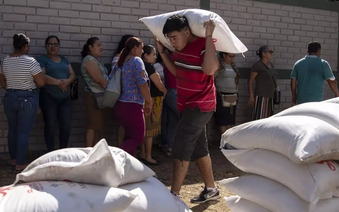 Candidate and President Nayib Bukele’s government gives away food donated by China — Gobierno del candidato y presidente Nayib Bukele regala comida donada por China 