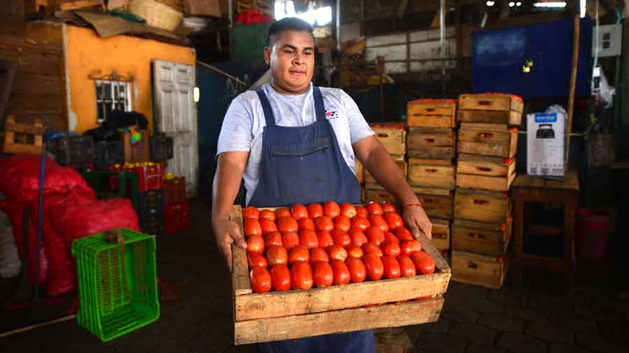 Tomato and Onion Prices Continue to Rise in El Salvador — Los precios de tomates y cebollas siguen su tendencia alcista en El Salvador