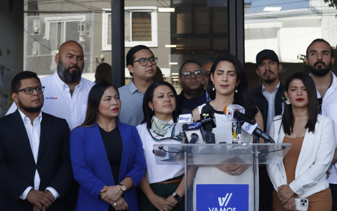 Opposition Parties Request the Removal of the Head of the TSE’s IT Services Unit — Piden la destitución del jefe de la Unidad de Servicios Informáticos del TSE
