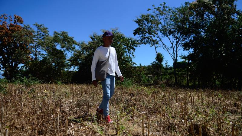 Abandonment of local producers impacts rising food prices — El abandono al productor local impacta en alza de precio de alimentos