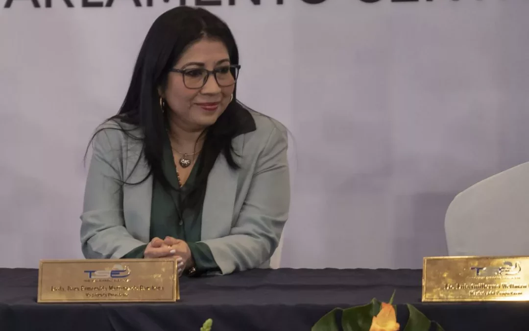 TSE President Admitted Irregularities and “Possible Intervention” in Salvadoran Election — Presidenta TSE: “No descartamos hayan intervenido para que las cosas sucedieran como sucedieron”