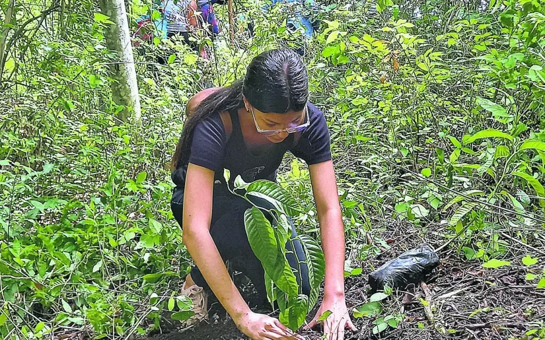 ANDA Wells Drying Up Due to “Unchecked Deforestation in El Salvador,” Claims Environmentalist — Pozos de ANDA se han secado por “la deforestación que impunemente sucede en El Salvador”, afirma ambientalista