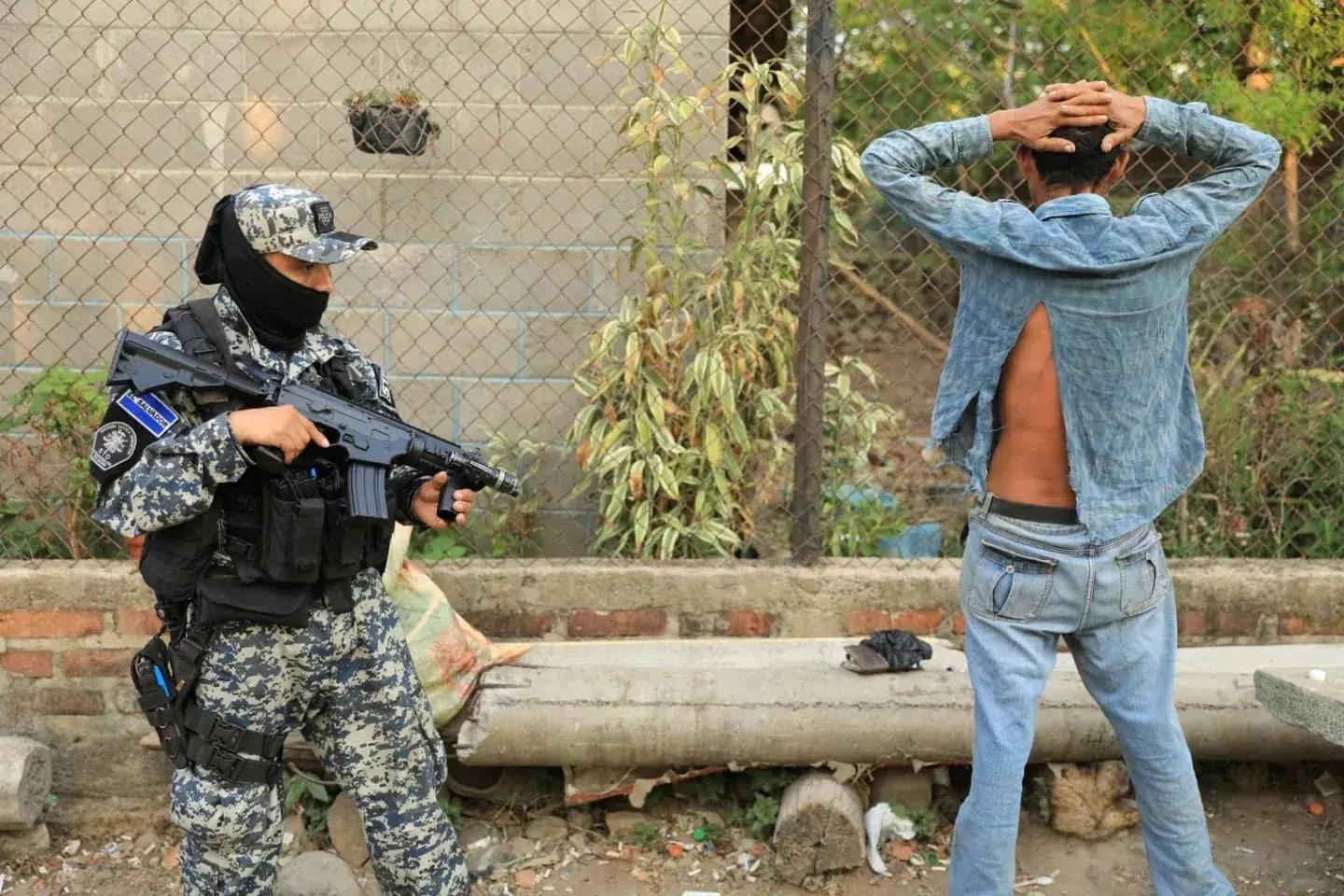 Security and Freedom: El Salvador and Ecuador — Seguridad y libertad: El Salvador y Ecuador