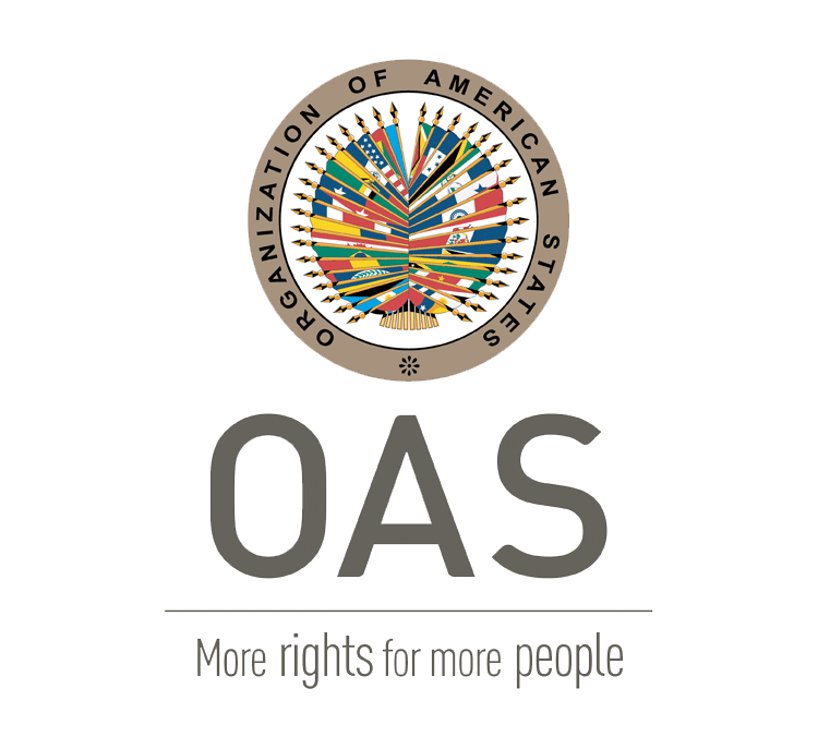 Third Preliminary Report of the OAS Election Observation Mission in El Salvador — Tercer informe preliminar de la Misión de Observación Electoral de la OEA en El Salvador