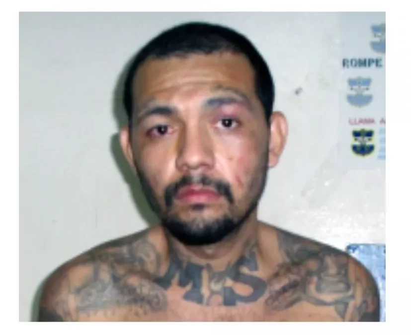 US Has Six of the 27 MS-13 Leaders Accused of Terrorism — Estados Unidos tiene a seis de los 27 líderes de la MS-13 acusados de terrorismo