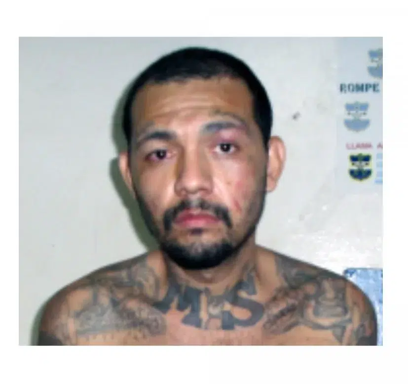 US Has Six of the 27 MS-13 Leaders Accused of Terrorism — Estados Unidos tiene a seis de los 27 líderes de la MS-13 acusados de terrorismo