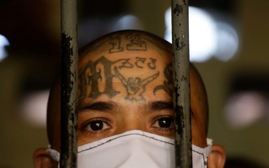 New York MS13 trial brings Nayib Bukele’s initial pact with gangs back into focus — El juicio en Nueva York a la MS13 vuelve a poner en foco el pacto inicial de Nayib Bukele con las pandillas