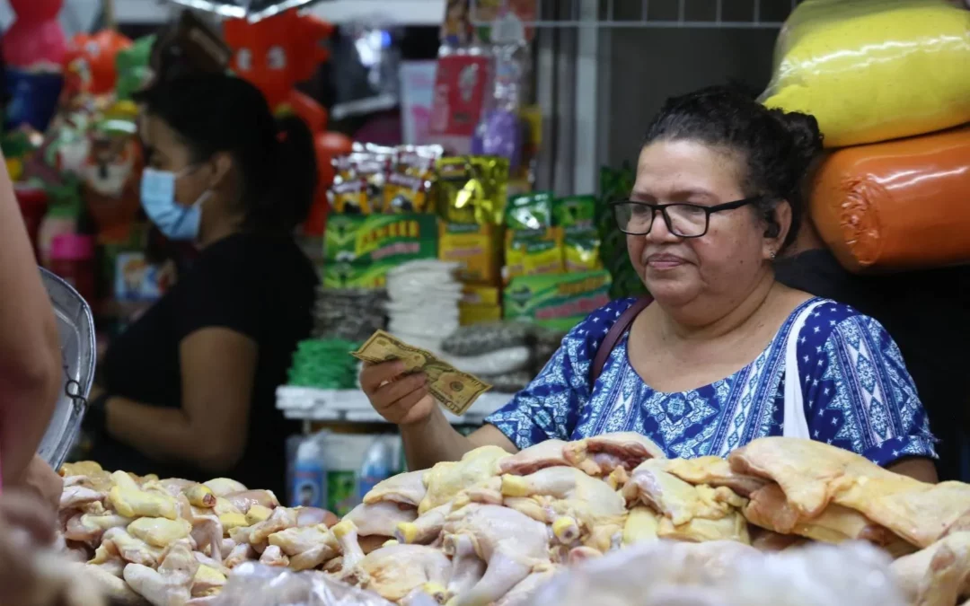 World Bank Slightly Raises Growth Projection for El Salvador for 2024 — Banco Mundial subió