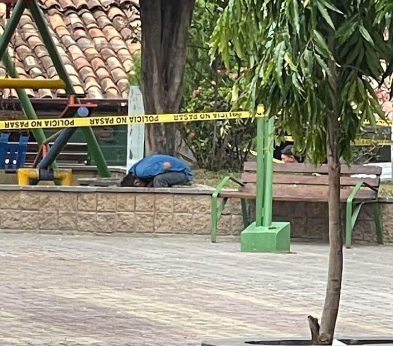 Foreigner hacked to death in playground area in Polorós park — Matan a machetazos a extranjero en área de juegos en parque de Polorós