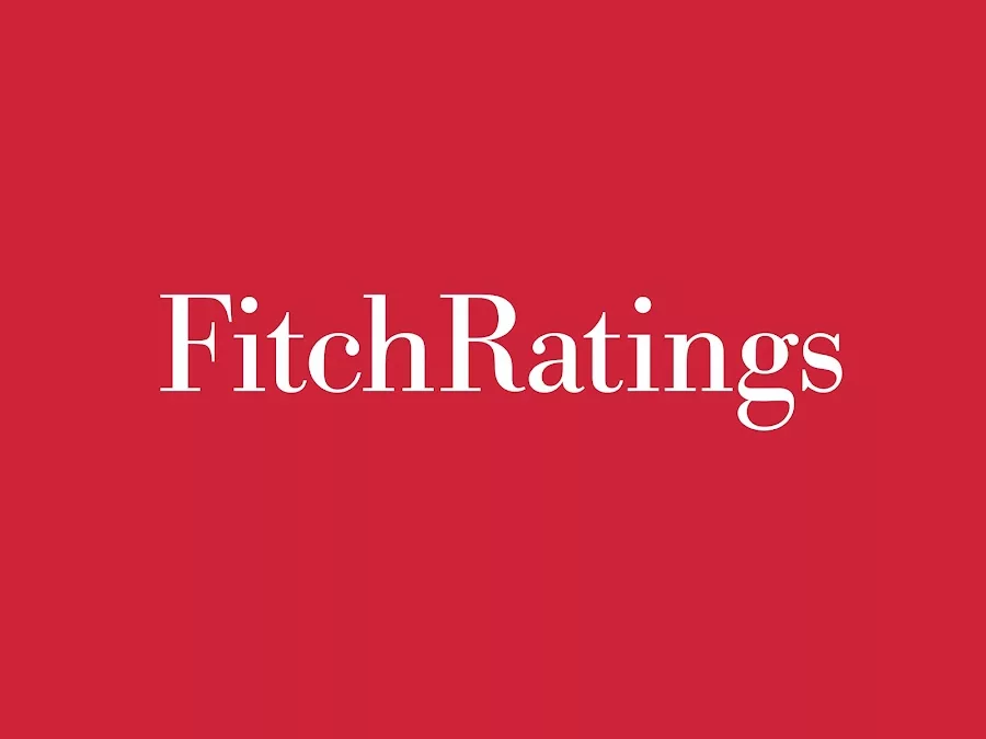 Fitch forecasts slowdown for Salvadoran economy — Fitch prevé desaceleración de la economía salvadoreña