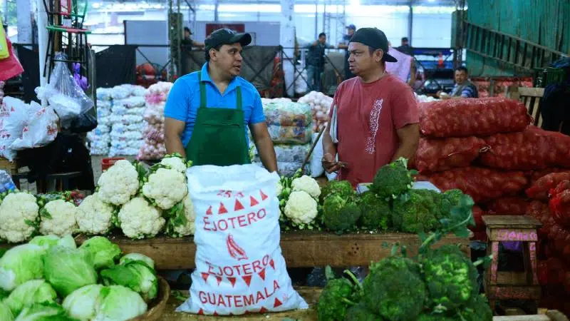 Vegetable prices increased up to 233% in 12 days — Verduras subieron sus precios hasta en 233 % en 12 días