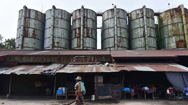 Basic Grain Production Projection Drops by 2 Million Quintals in El Salvador — Proyección de granos básicos baja en 2 millones de quintales en El Salvador