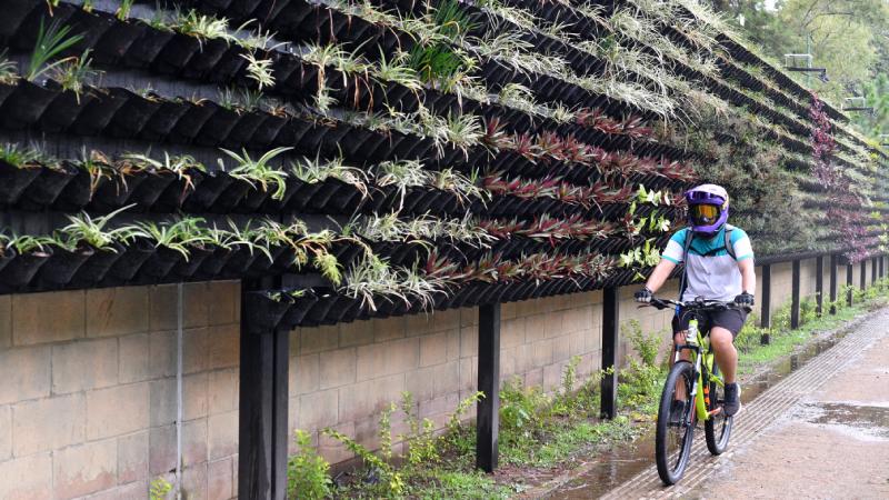 Salvadoran Water Authority Prioritizes Vertical Garden Over Watershed Protection