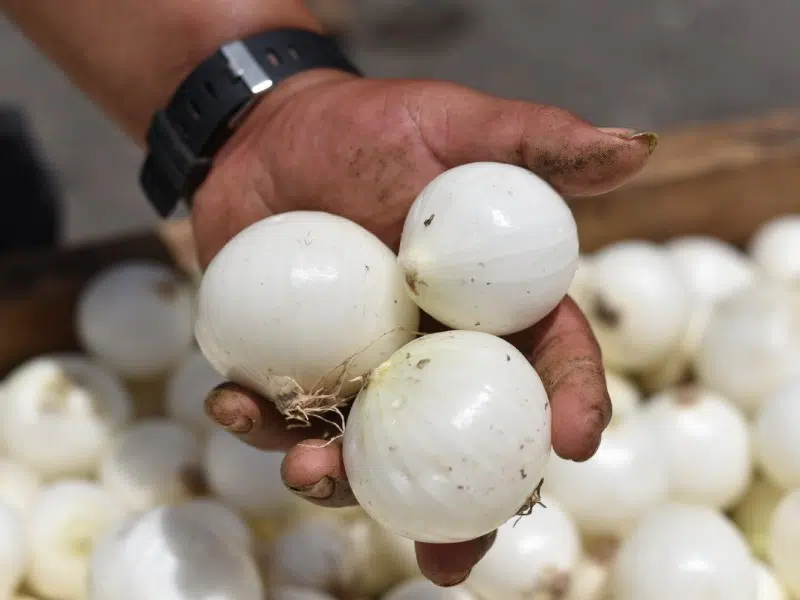 Prices in Local Markets Remain High