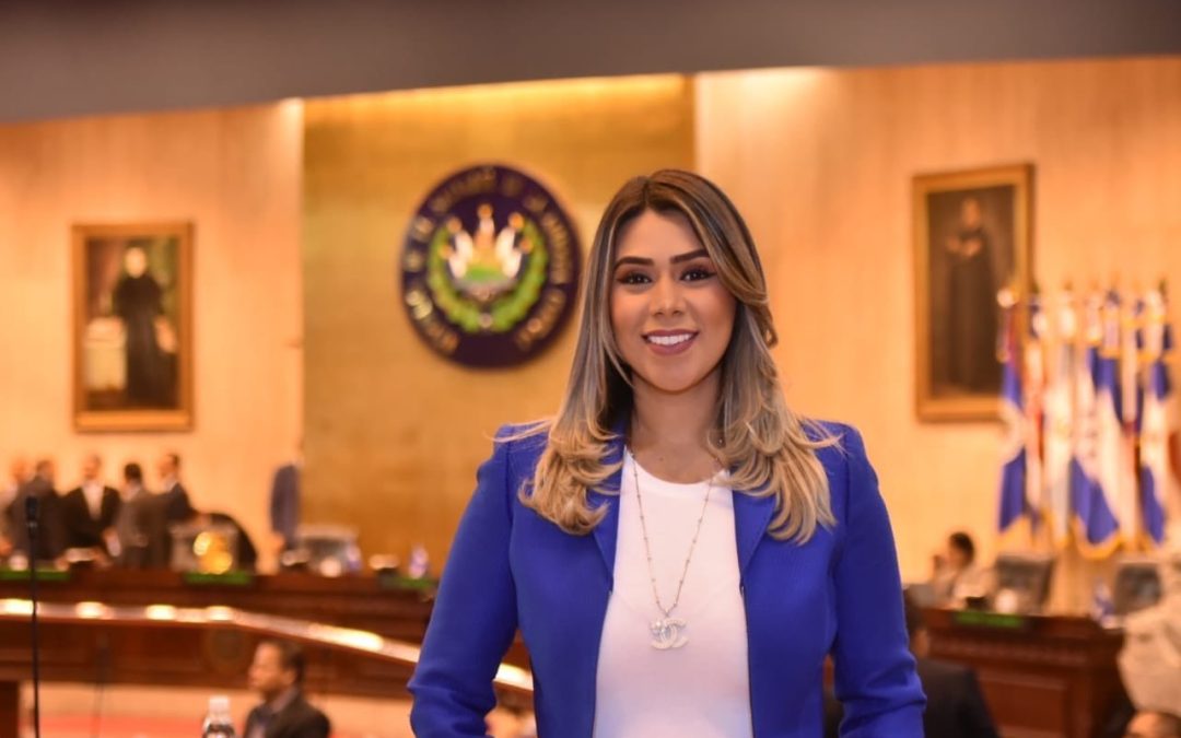 Organizations Maintain Pressure to Repeal New Mining Law — Organizaciones mantienen presión para derogar la nueva ley de minería