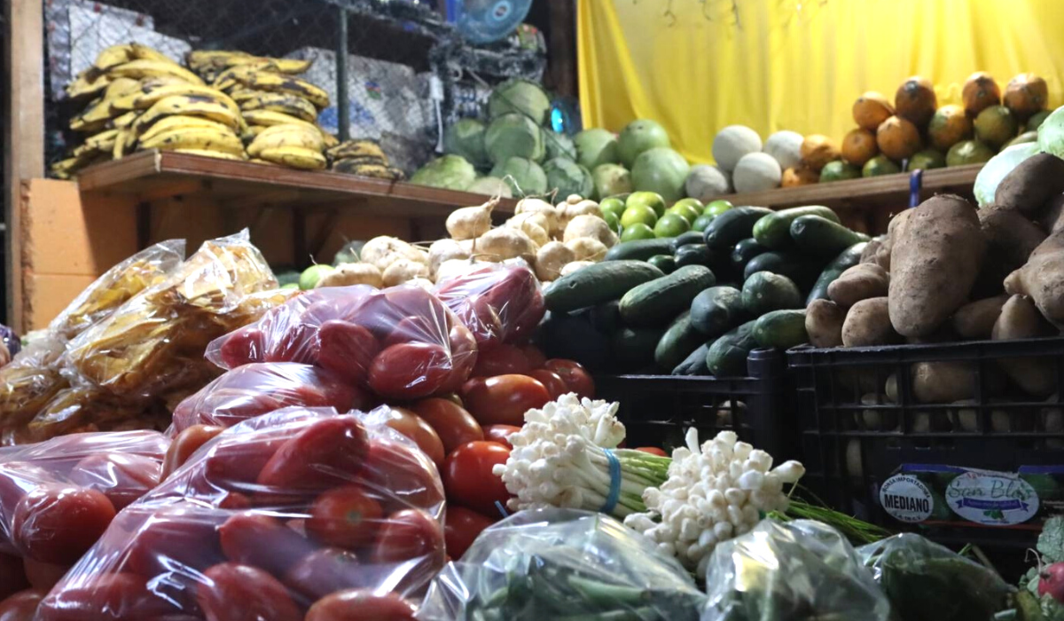 Bukele’s Proposed Law on Suspending Food Tariffs Doesn’t Benefit Consumers and Producers: Economist — Propuesta de Ley de Bukele sobre suspensión de aranceles a los alimentos no favorece a consumidores y productores: Economista