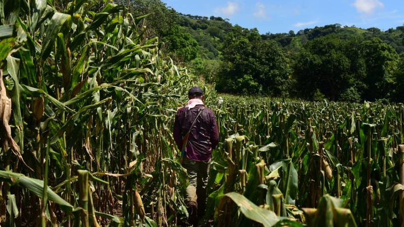 Funding for Agriculture Drops by $74 Million Between 2019 and 2023 — Financiamiento para el agro cae en $74 millones entre 2019 y 2023