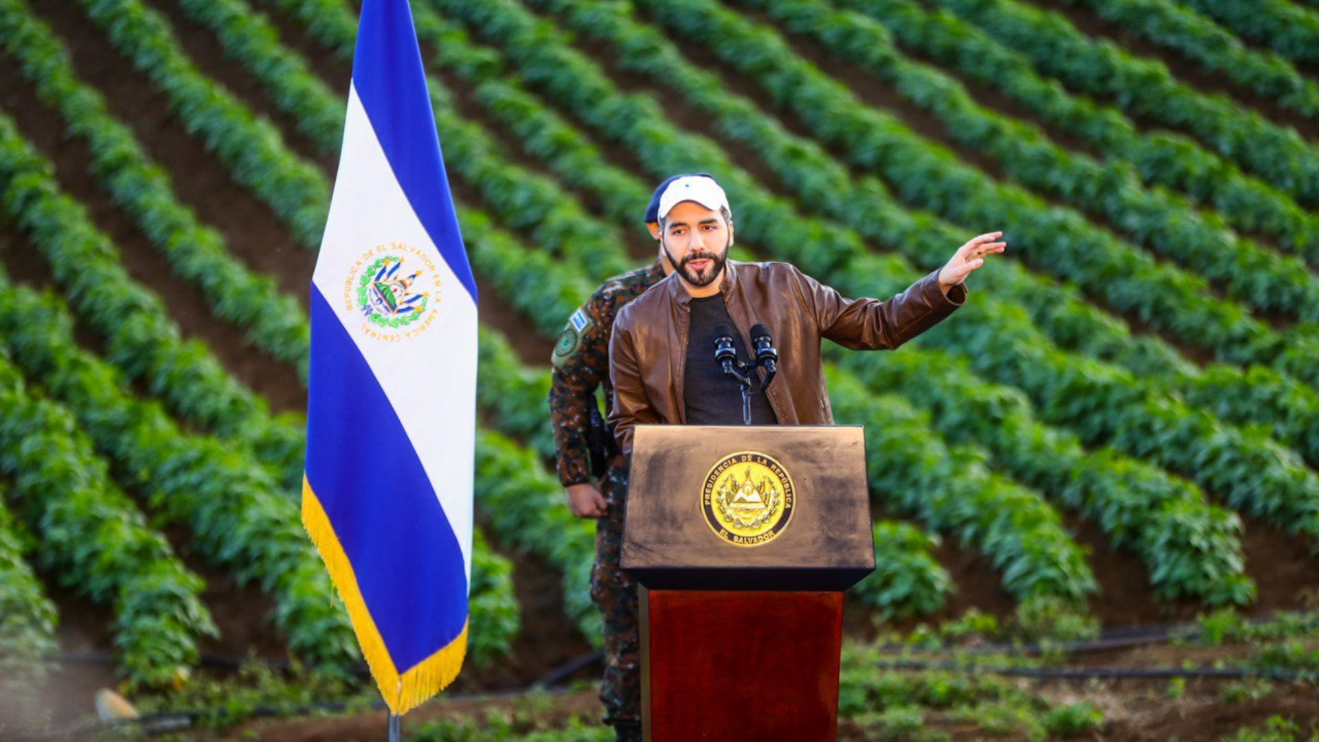 Unmet Government Promises to Rescue Agriculture — Las promesas incumplidas del Gobierno para rescatar el agro