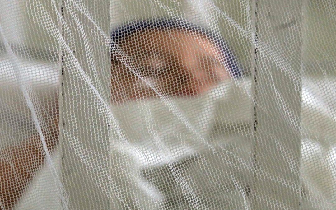 Surge in Dengue-related Consultations at Public Clinics and ISSS: 35 Children Already Hospitalized — Repunte de consultas por dengue en clínicas públicas e ISSS: ya hay 35 niños hospitalizados