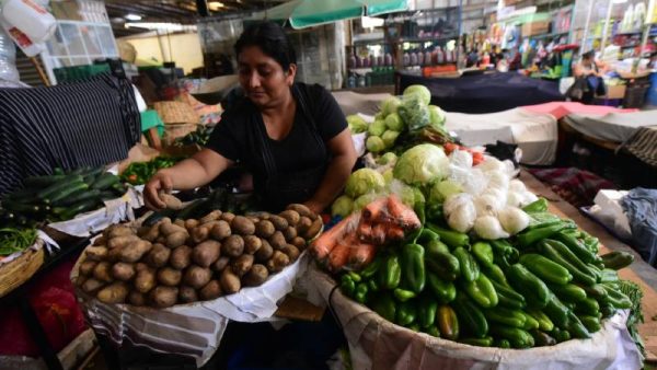 Vegetables Take Center Stage in New Record for Basic Basket — Verduras, las protagonistas en nuevo récord de canasta básica