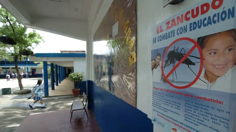 El Salvador Reports Over 470 Confirmed Cases of Dengue, Six Child Deaths — El Salvador reporta más de 470 casos confirmados de dengue y seis menores fallecidos