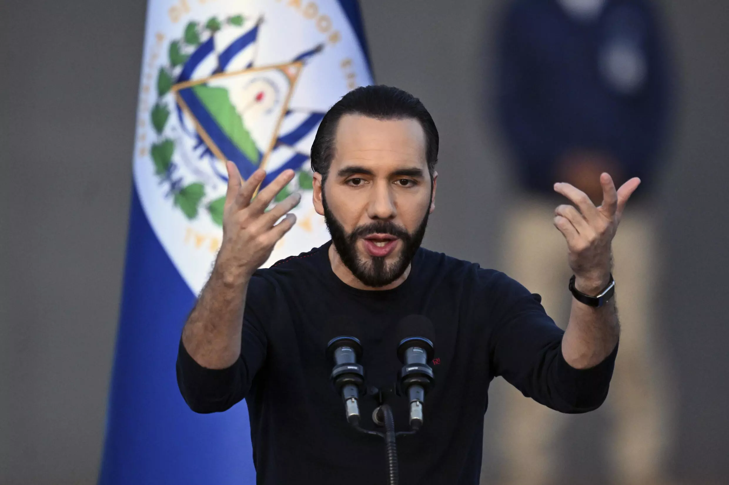 Agreement for Port Management Won’t Pass Through Legislative Assembly — Acuerdo para el manejo de los puertos no pasará por la Asamblea Legislativa