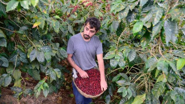 Promises for Coffee Remain Unfulfilled in El Salvador — Las promesas para el café siguen sin cumplirse en El Salvador