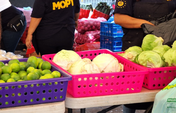 Agromercados del MAG “are a media gimmick” that fail to address the population’s needs: Experts — Agromercados del MAG “son un paliativo mediático” que no resuelve las necesidades de la población: expertos
