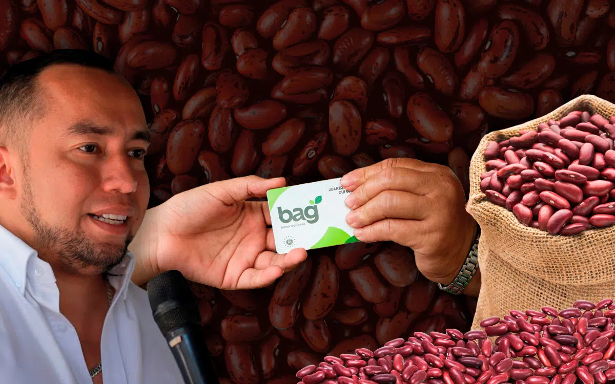 Agricultural Bonus Fails to Reach Bean Planting Season — El bono agrícola no llega para la siembra de frijol