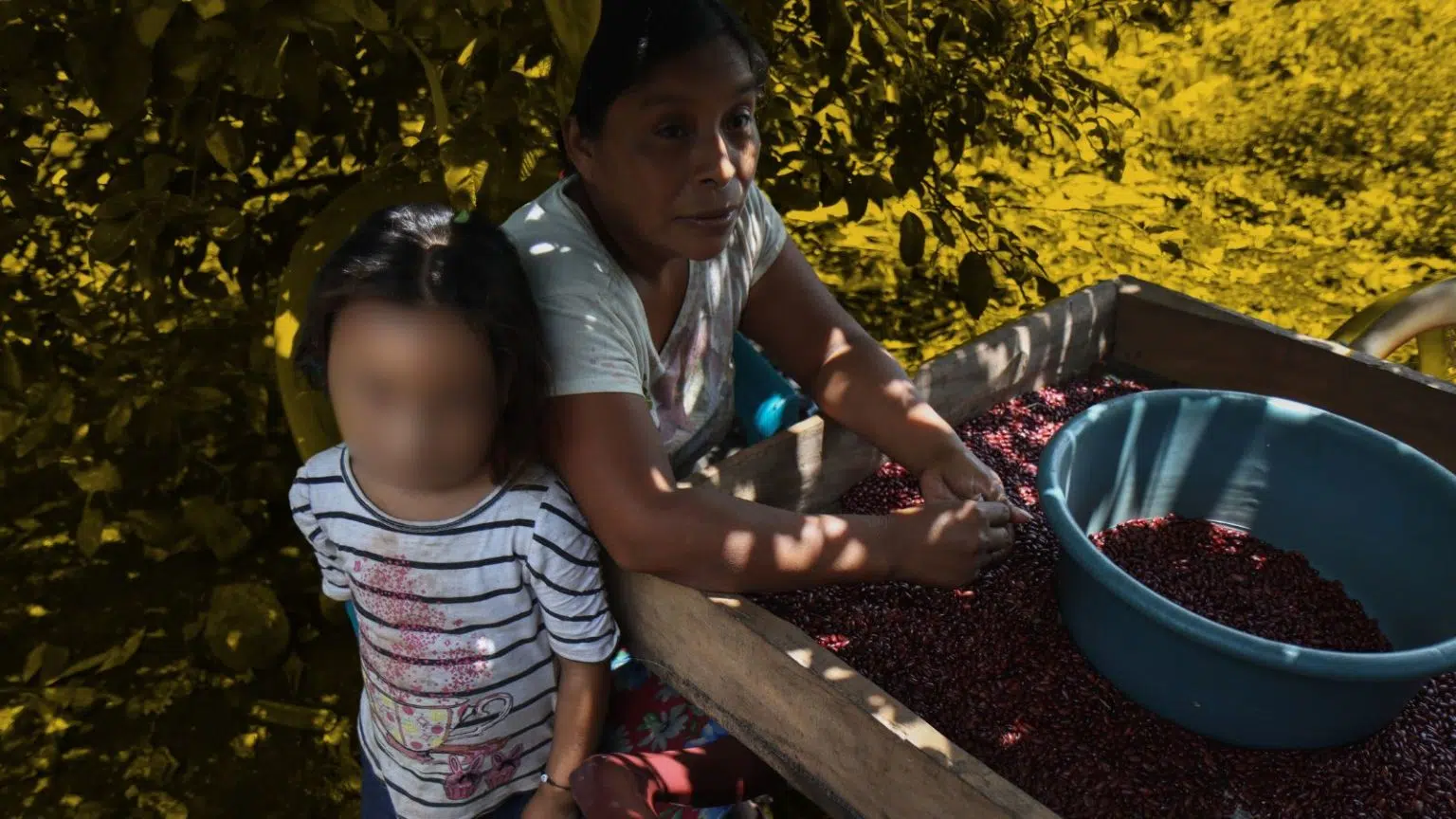 Salvadoran Children Face Worst Forms of Child Labor, Including Sexual Exploitation, Warns U.S. Report — Niñez y adolescencia salvadoreña es sometida a peores formas de trabajo infantil, incluso explotación sexual, advierte informe de EE.UU