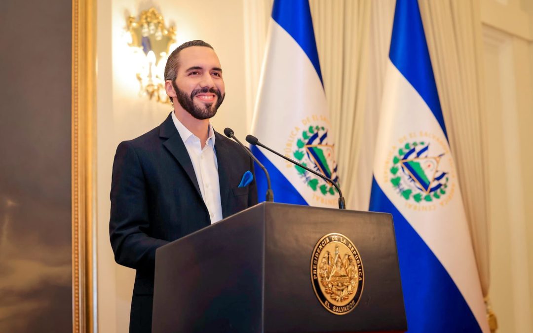 Bukele, the New Landowner of El Salvador. Investigation Reveals Property Purchases Worth $9.2 Million — Bukele, el nuevo terrateniente de El Salvador. Investigación revela compra de propiedades por $9.2 millones