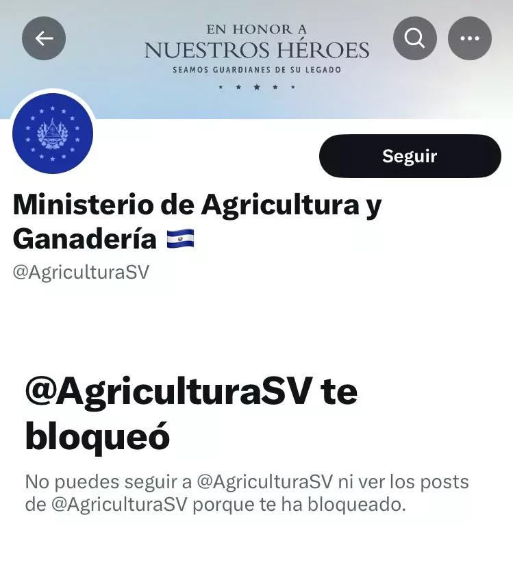 Salvadoran Government Blocks Critics on Official Social Media Accounts — Gobierno salvadoreño enlista a algunos críticos y los bloquea en redes oficiales