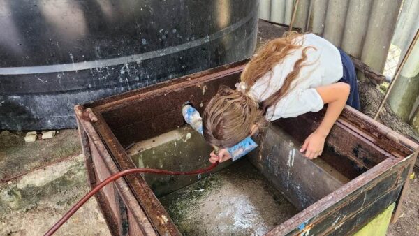 Students Drink Rainwater at Morazán School — Alumnos consumen agua lluvia en escuelita de Morazán