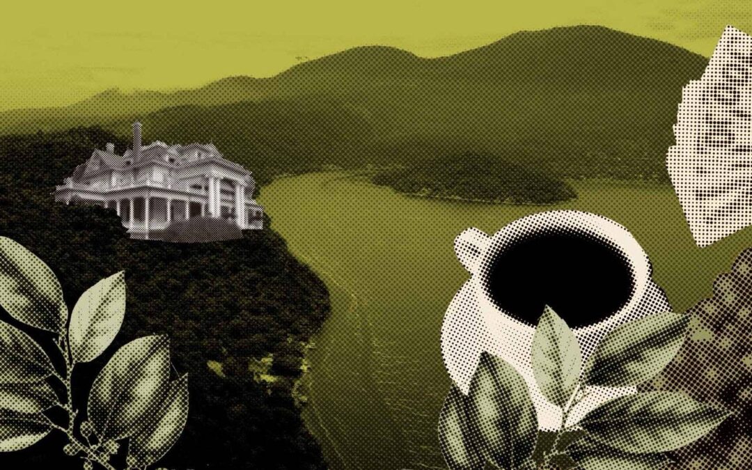 Bukele & Co.: The New Landowning Family of El Salvador — Bukele & Cía., la nueva familia terrateniente de El Salvador
