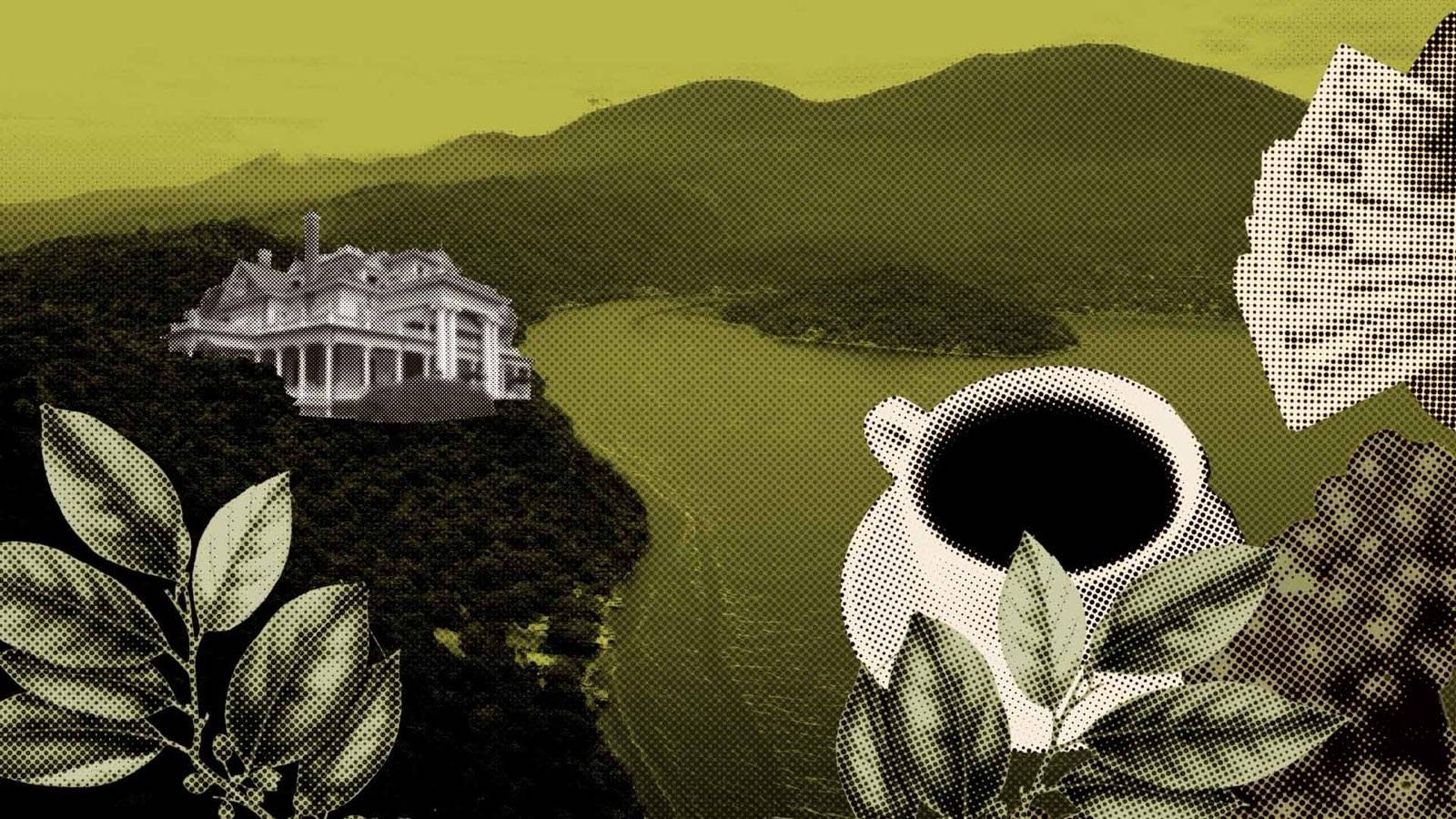 Bukele & Co.: The New Landowning Family of El Salvador — Bukele & Cía., la nueva familia terrateniente de El Salvador